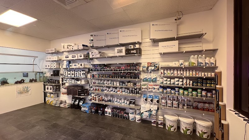 Reef Exclusive - Photo 5