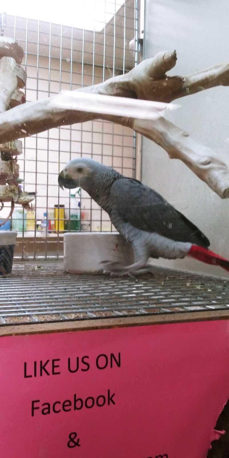 It's A Pet's World - Photo 3