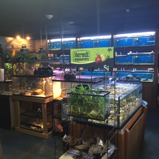 It's A Pet's World - Photo 5