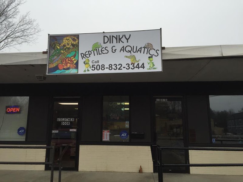 Dinky Reptiles And Aquatics - Photo 1