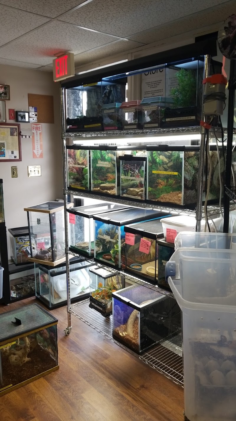 Dinky Reptiles And Aquatics - Photo 2