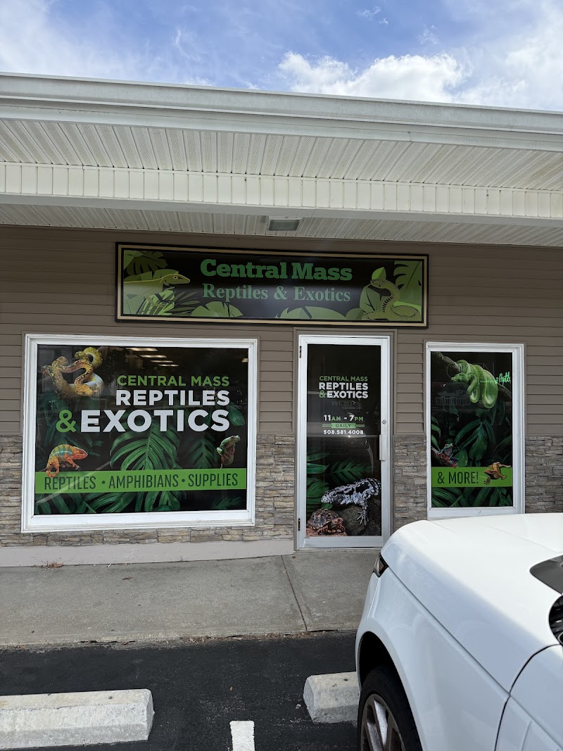 Central Mass Reptiles & Exotics - Photo 1