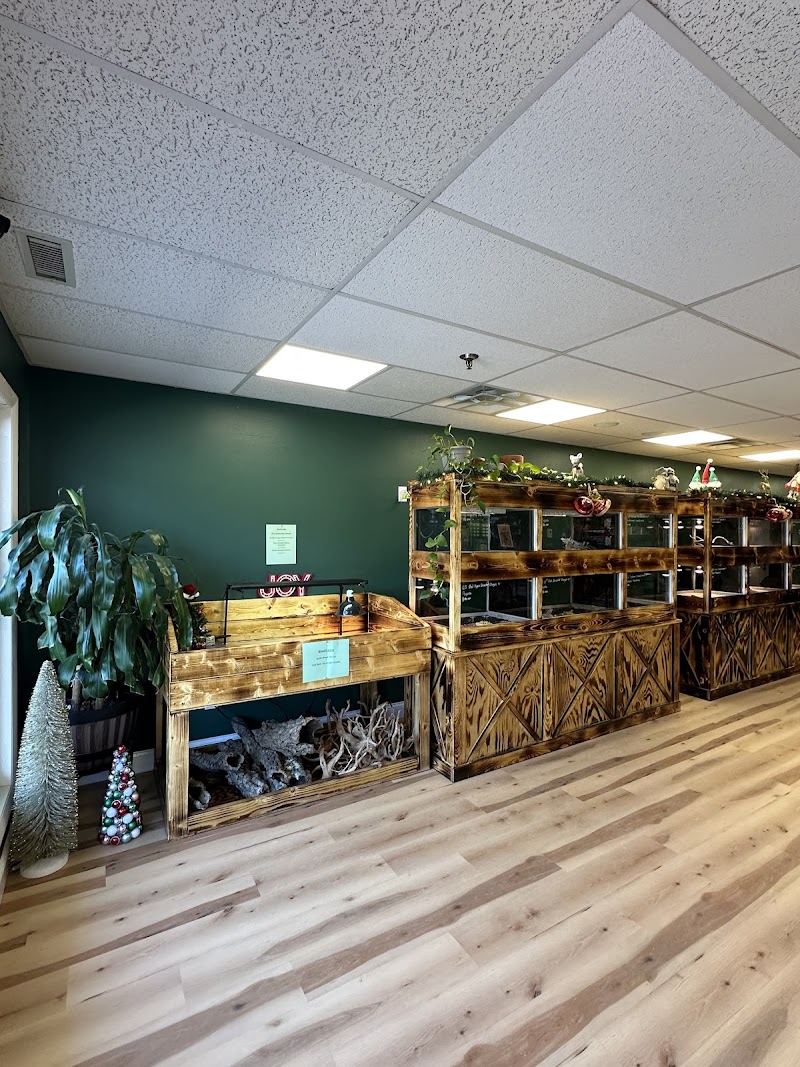 Central Mass Reptiles & Exotics - Photo 2