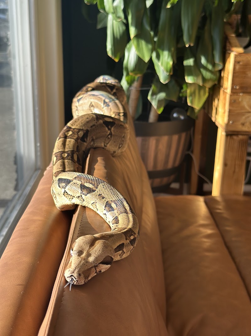 Central Mass Reptiles & Exotics - Photo 4