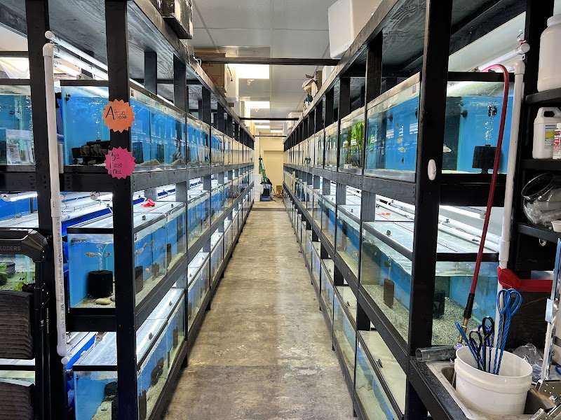 Londontowne Tropicals - Photo 2