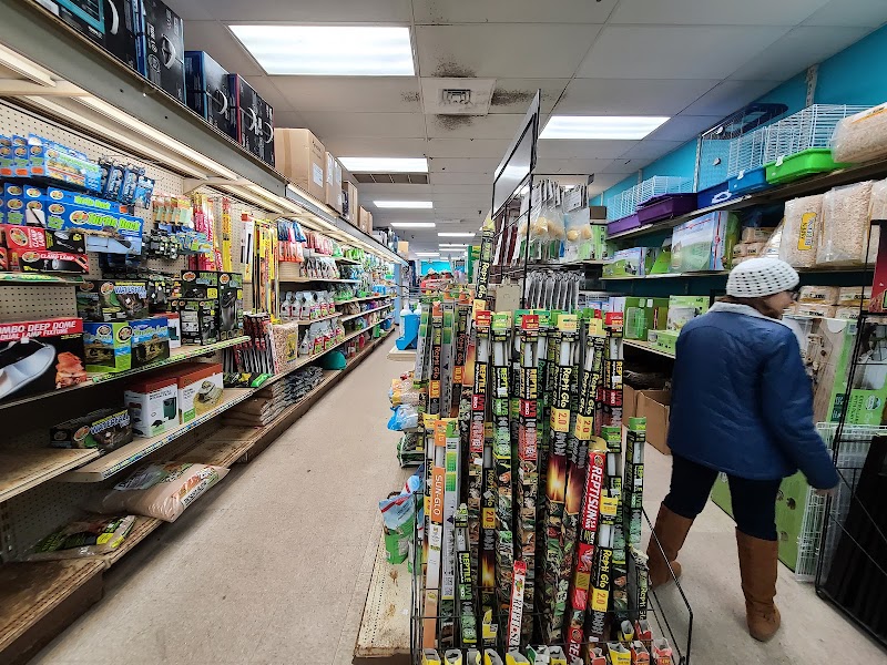 House Of Tropicals - Photo 3