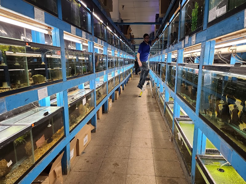 House Of Tropicals - Photo 5