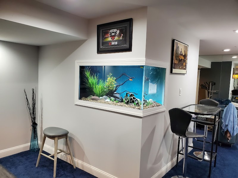 FantaSEA Aquariums | Aquarium Design, Installation, and Service - Photo 3