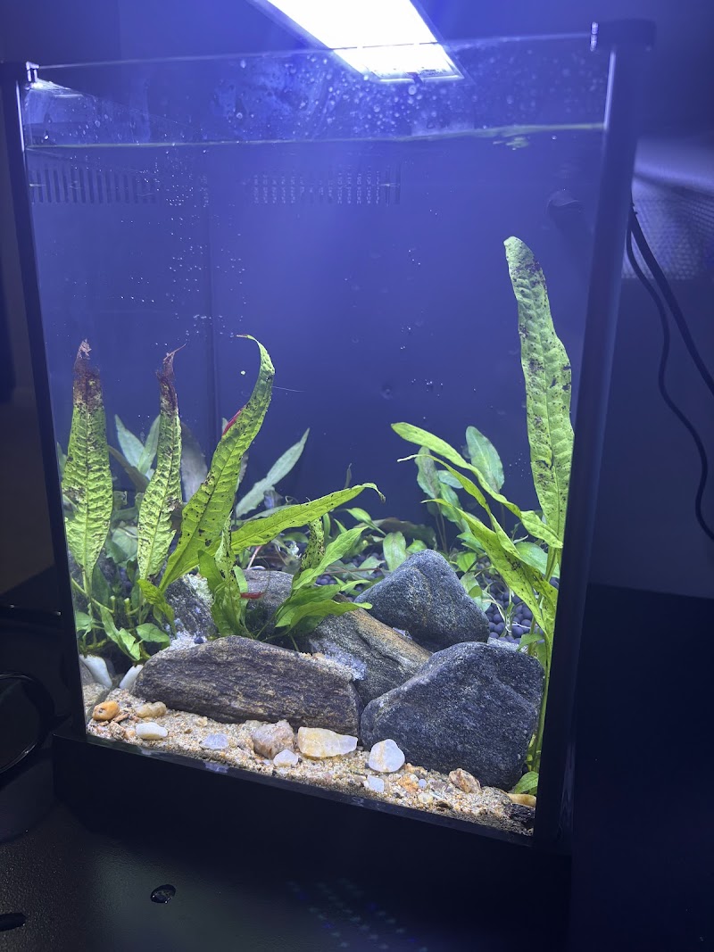 Go Fish LLC - Photo 4