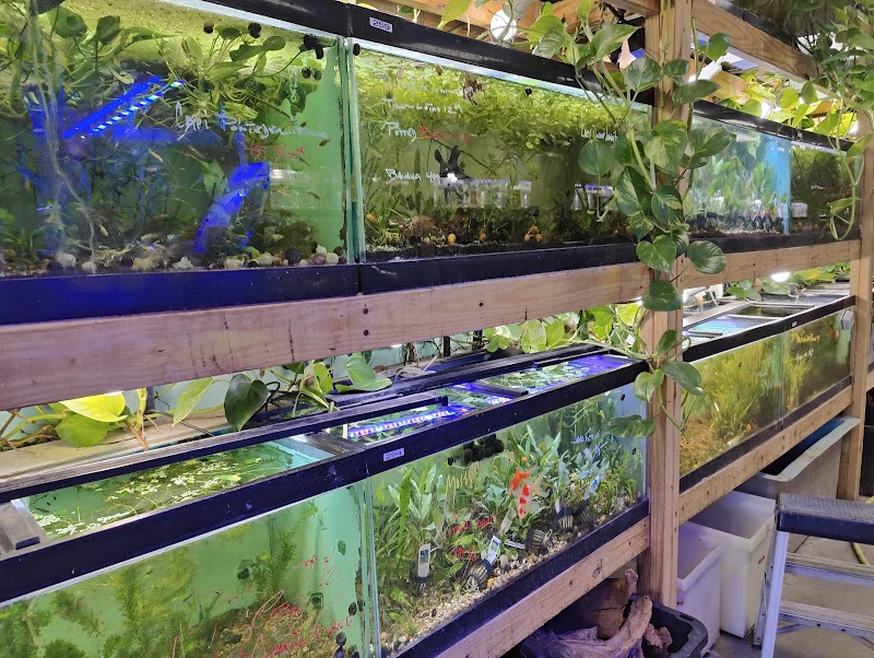 Go Fish LLC - Photo 5