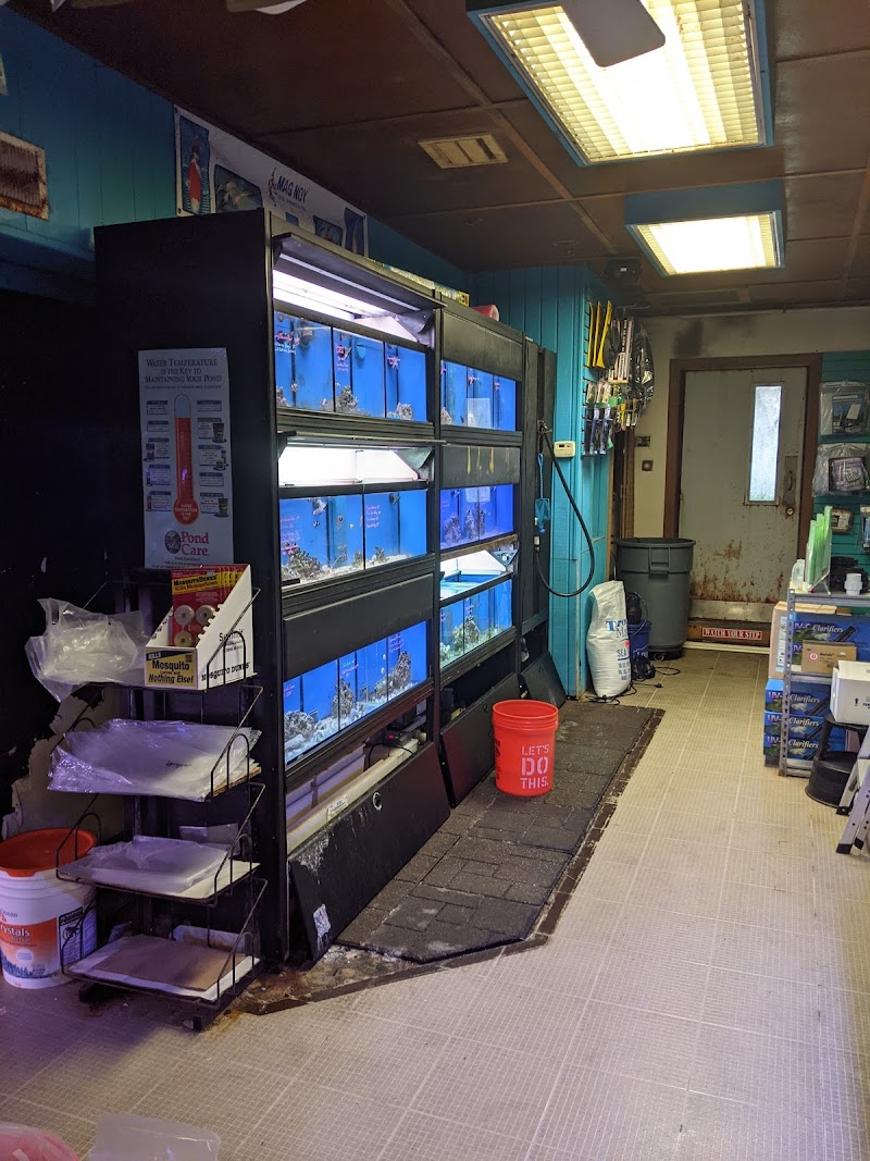 Aquatic Creations Ltd - Photo 4