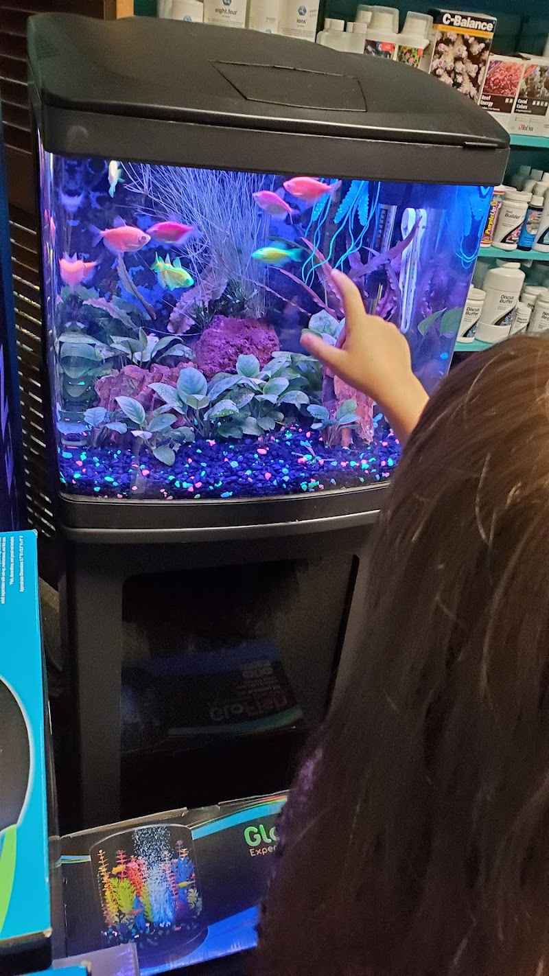 Aquatic Creations Ltd - Photo 5