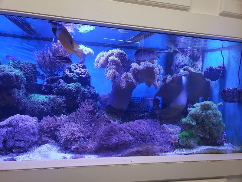 CTE Aquatics - Photo 3