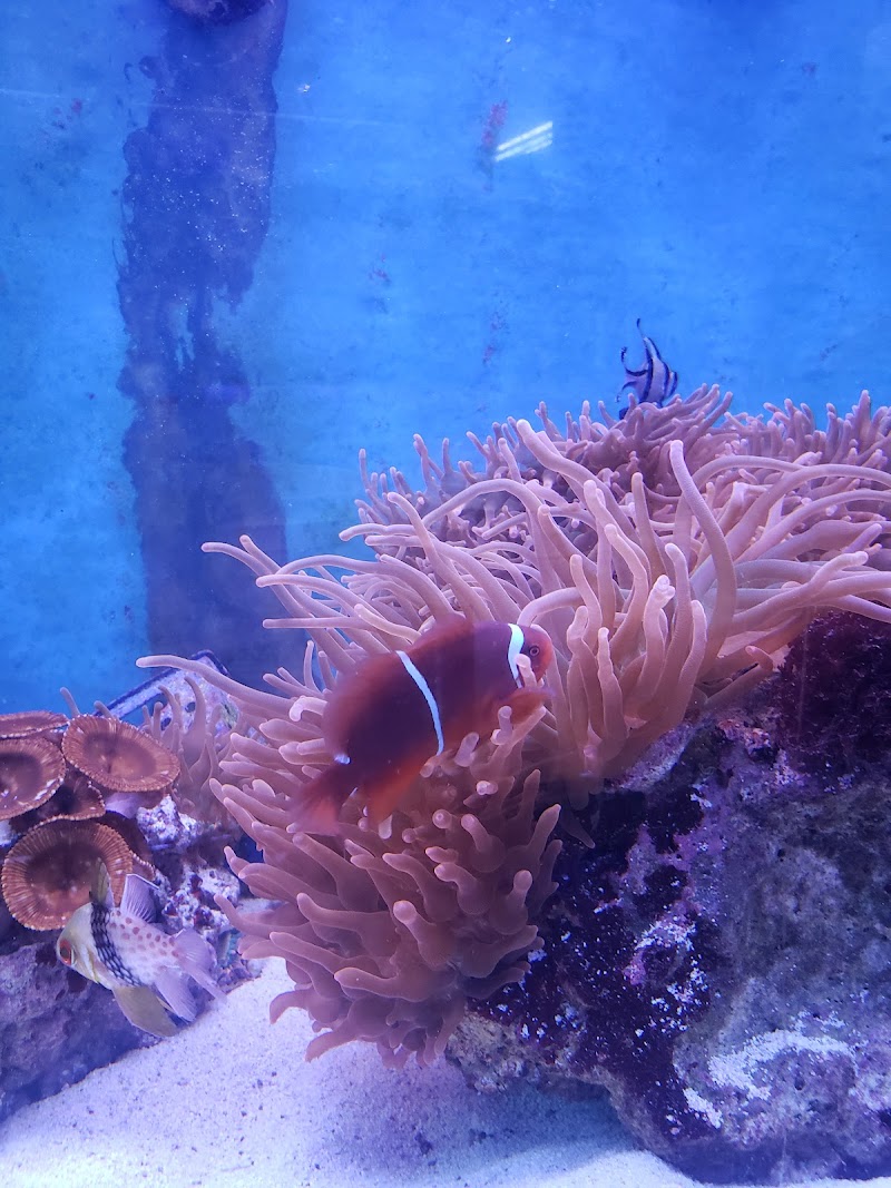 CTE Aquatics - Photo 4