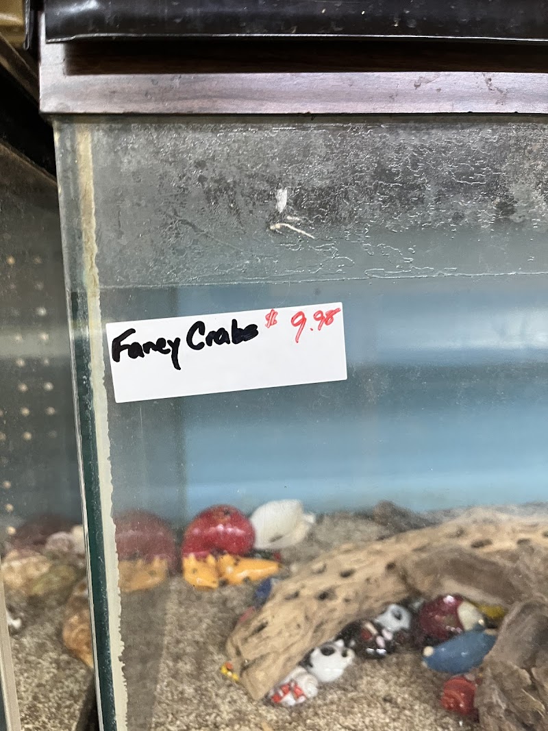 Tom’s Tropicals - Photo 3