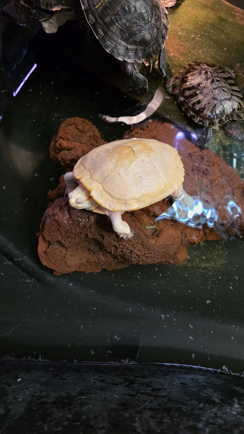 Tom’s Tropicals - Photo 4