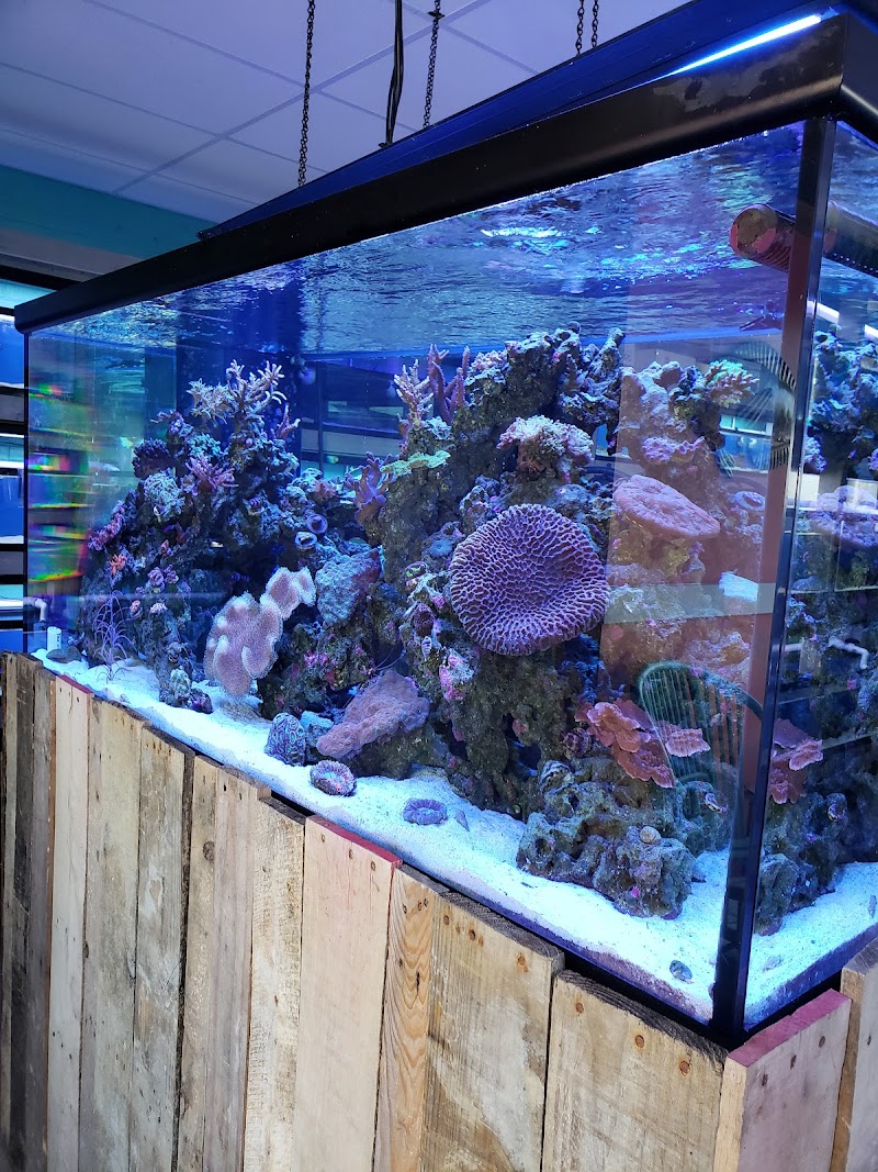 Fintastic Aquariums of Frederick - Photo 1