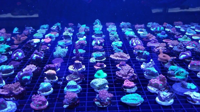 Fintastic Aquariums of Frederick - Photo 2