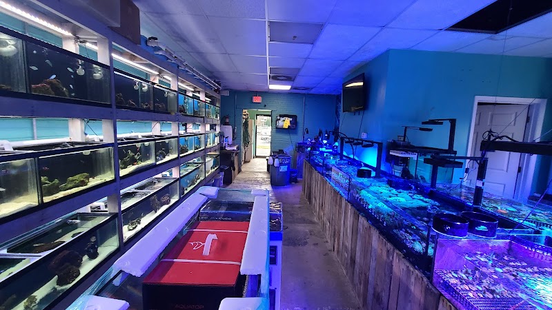 Fintastic Aquariums of Frederick - Photo 3