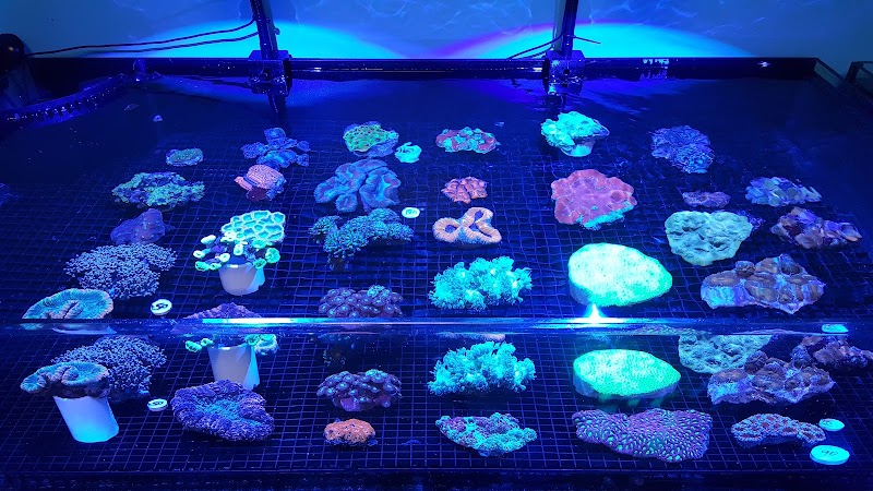 Fintastic Aquariums of Frederick - Photo 5