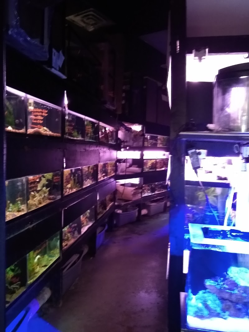 Rick's Fish & Pet Supply - Photo 3