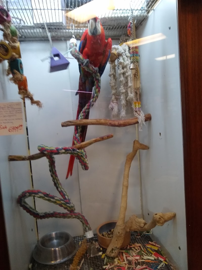 Rick's Fish & Pet Supply - Photo 4