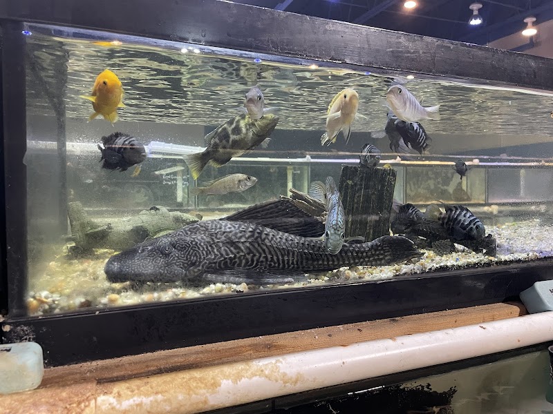 Vienna Aquarium & Pets - Photo 4