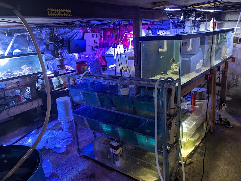 Fish Geeks aquarium maintenance - Photo 1