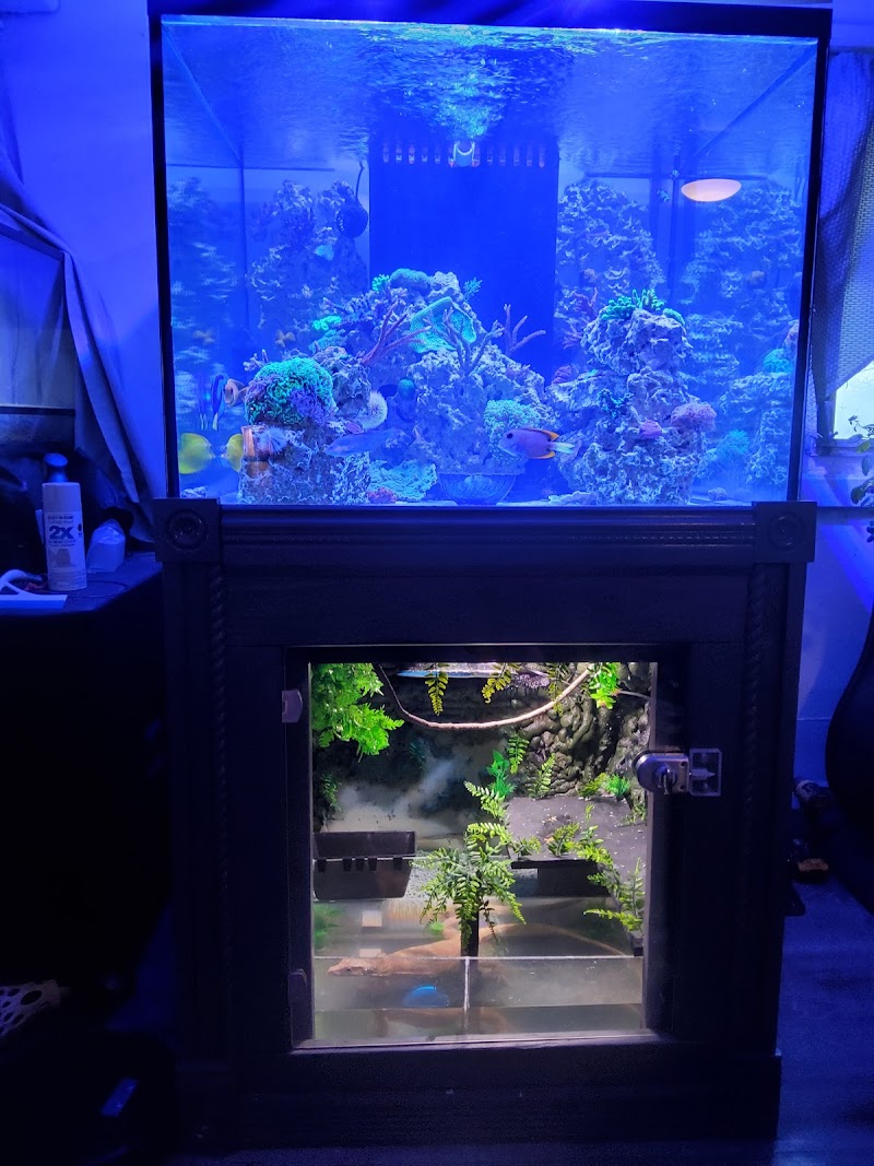 Fish Geeks aquarium maintenance - Photo 4