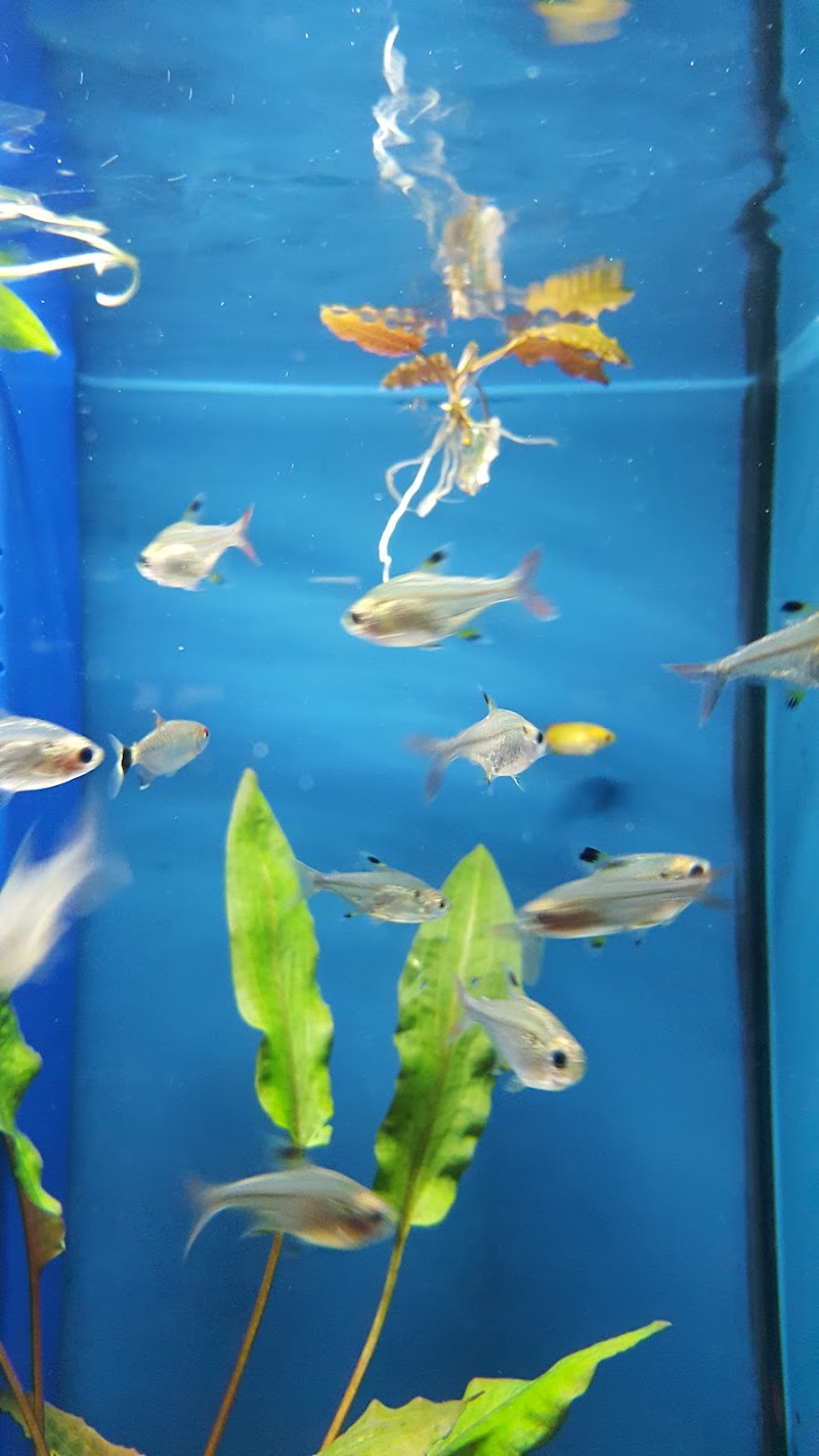 Winchester Aquarium & Pet Center - Photo 3