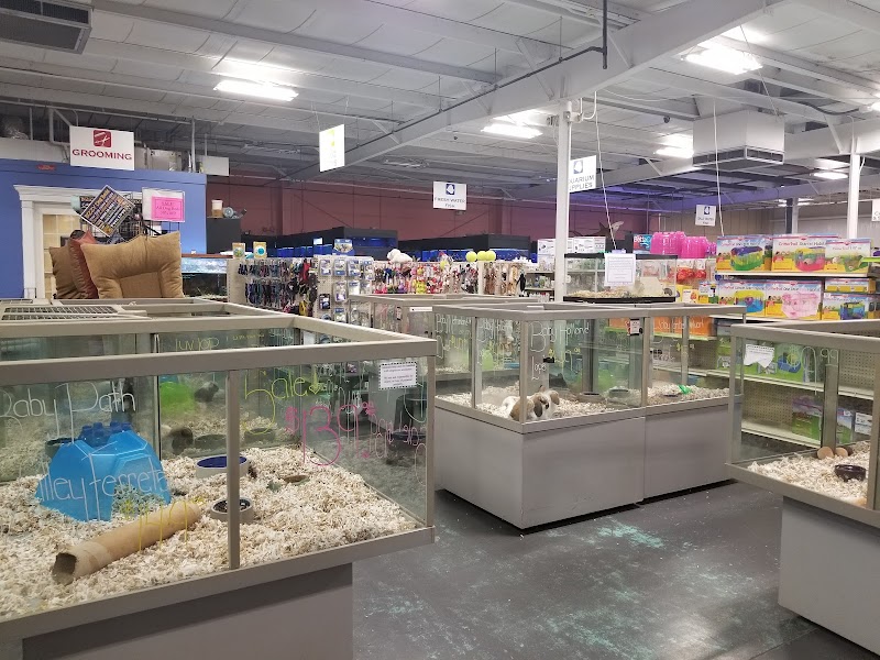 Winchester Aquarium & Pet Center - Photo 4