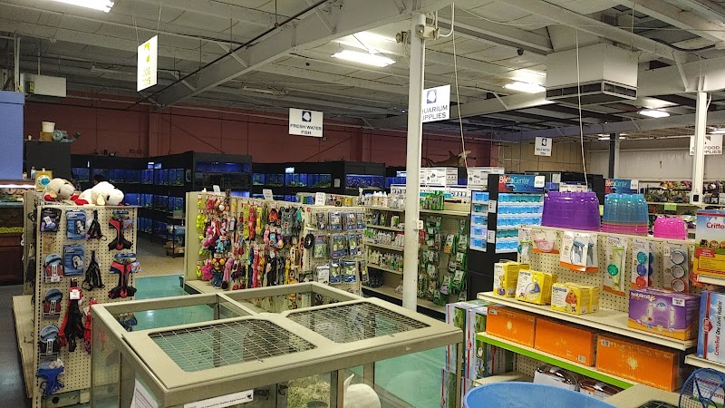 Winchester Aquarium & Pet Center - Photo 5