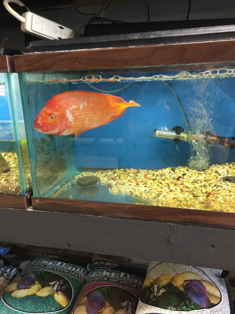 Eden Pets Supplies & Aquarium - Photo 2
