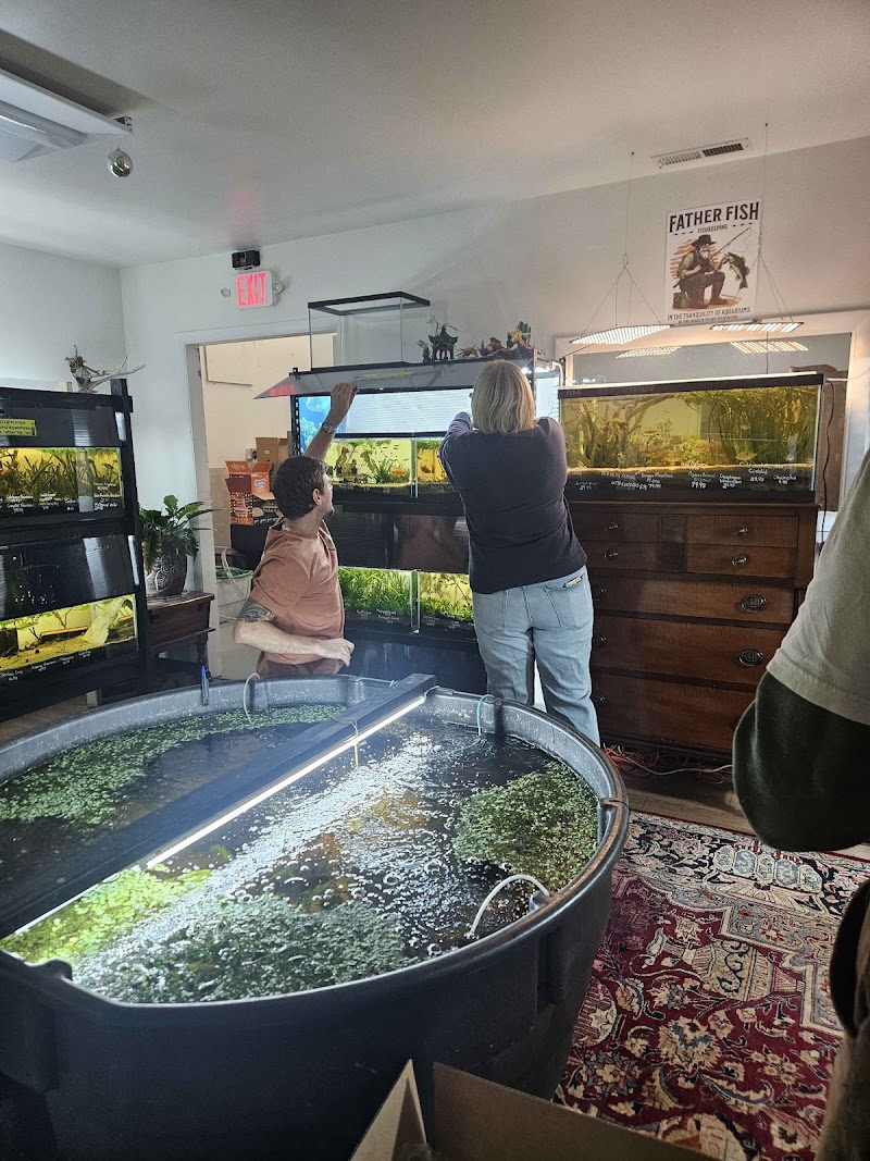 Father Fish Aquarium - Photo 1