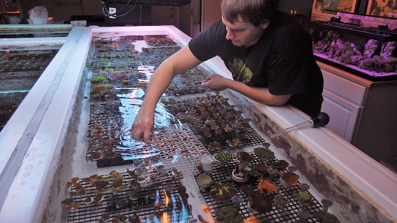 Pacific East Aquaculture - Photo 4