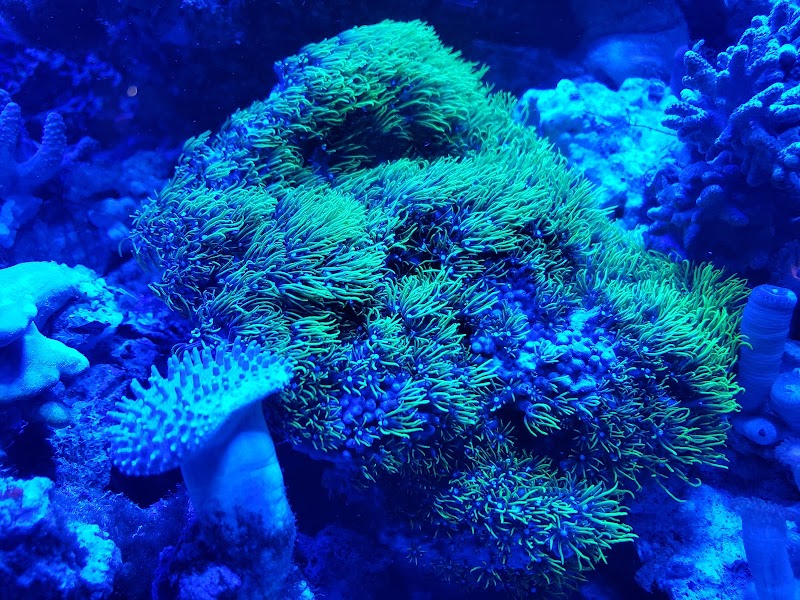 Pacific East Aquaculture - Photo 5