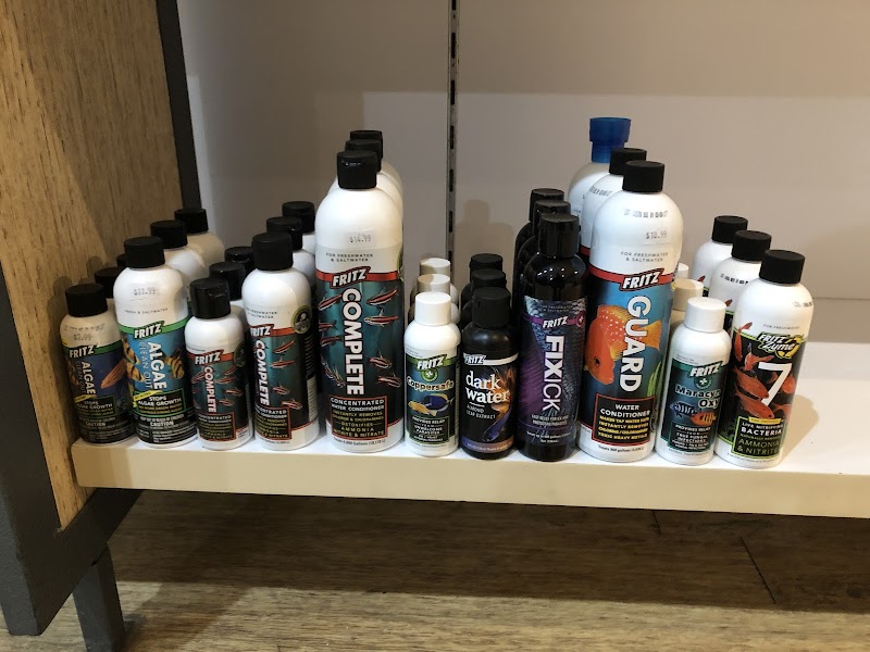 Fish & Friends - Photo 2