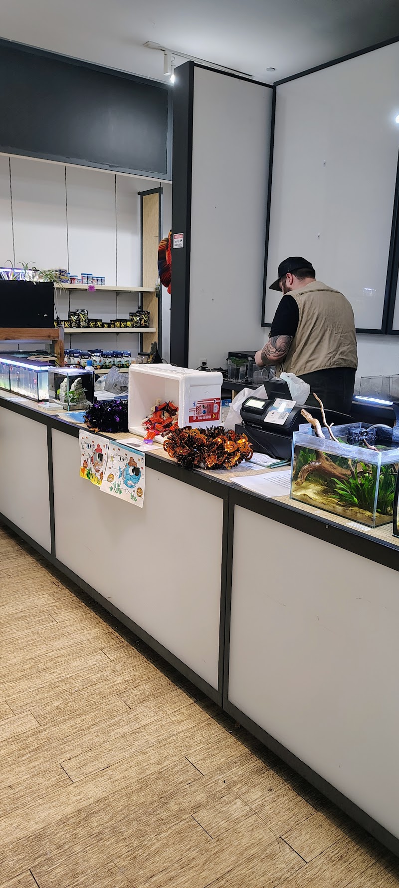 Fish & Friends - Photo 4