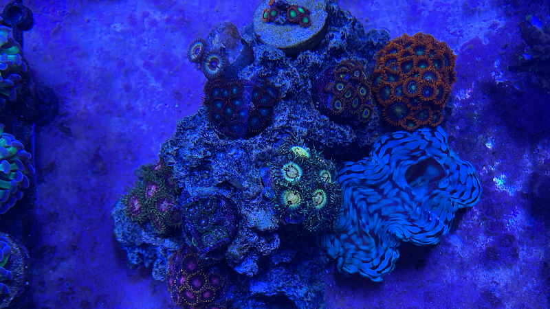 Aquarium Xpress - Photo 2