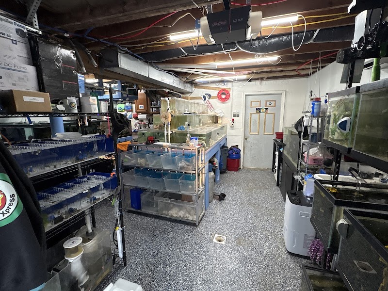 Aquarium Xpress - Photo 3