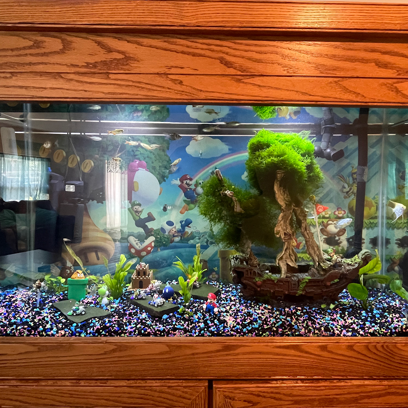 Aquarium Xpress - Photo 4