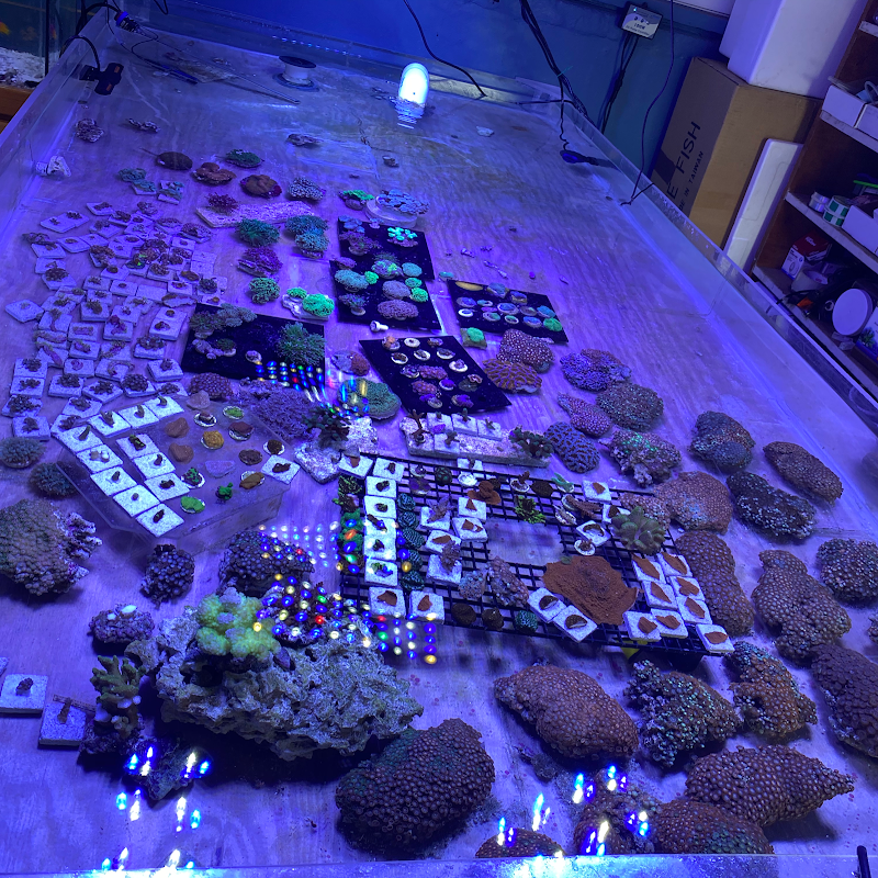 Aquarium Xpress - Photo 5