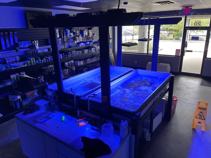 Corals Unlimited Aquarium Store & Services - Photo 2