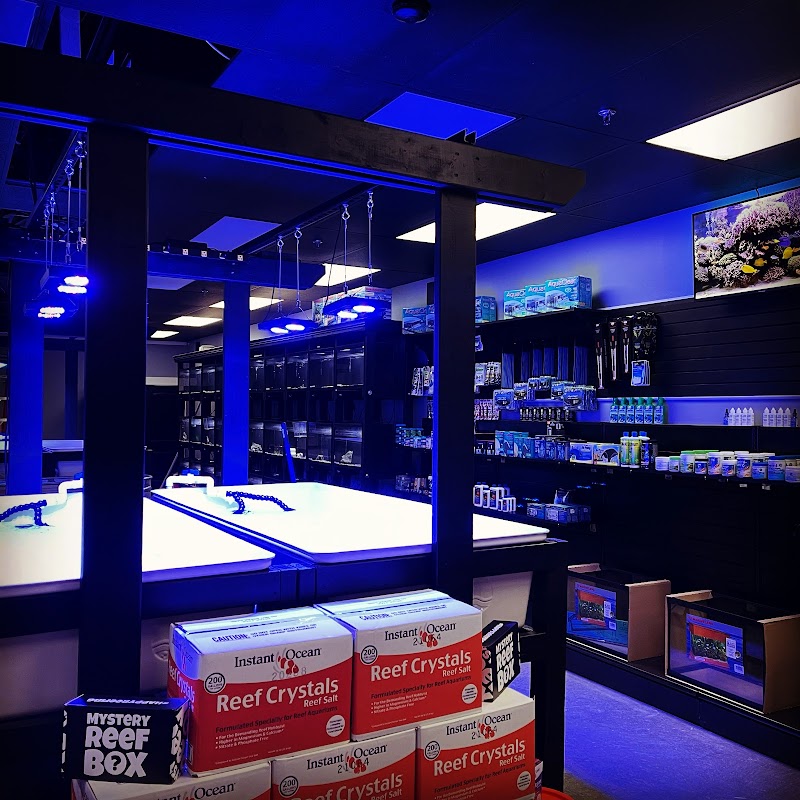 Corals Unlimited Aquarium Store & Services - Photo 5