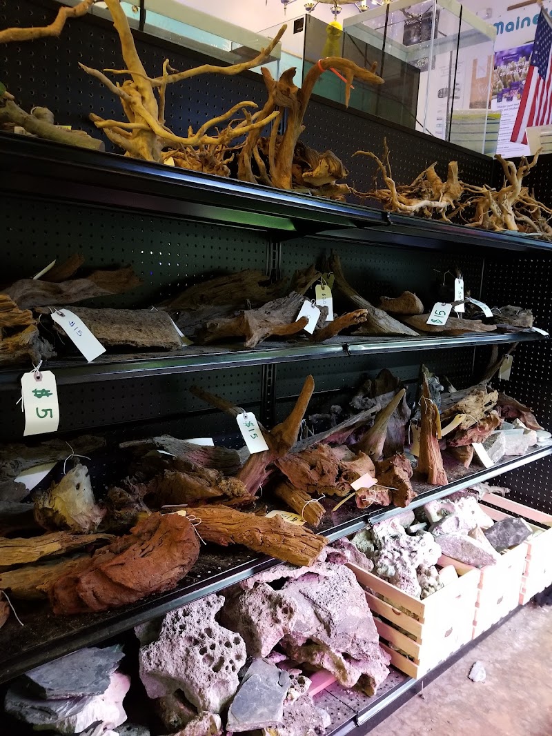 Easy Aquariums - Westbrook - Photo 2