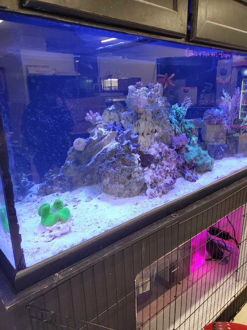 Easy Aquariums - Westbrook - Photo 3