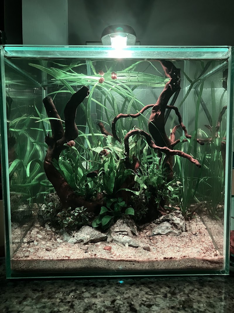 Easy Aquariums - Westbrook - Photo 4
