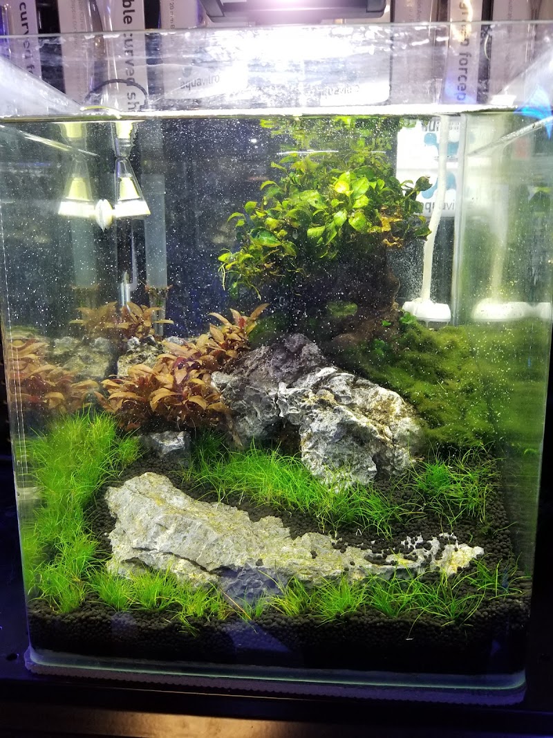 Easy Aquariums - Westbrook - Photo 5