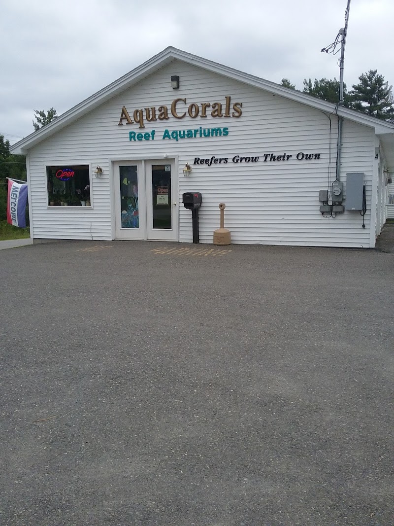 AquaCorals Reef Aquariums - Photo 1