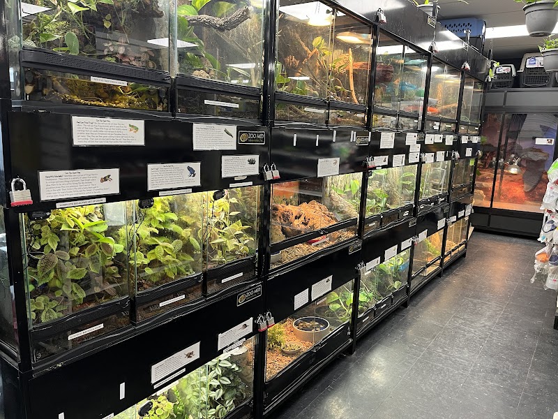 Fish Tails Pet Emporium - Photo 3